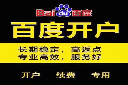 搜索引擎营销（SEM）在电商行业的投放策略案例